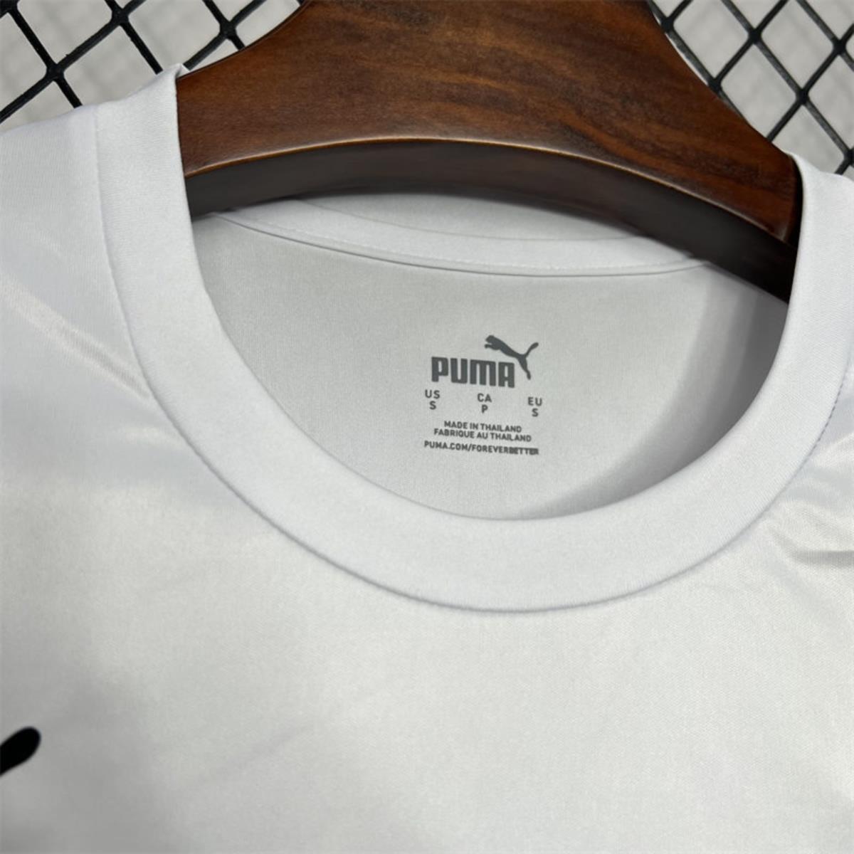 2024/25 Germany Euro Special edition Jersey Fan Version