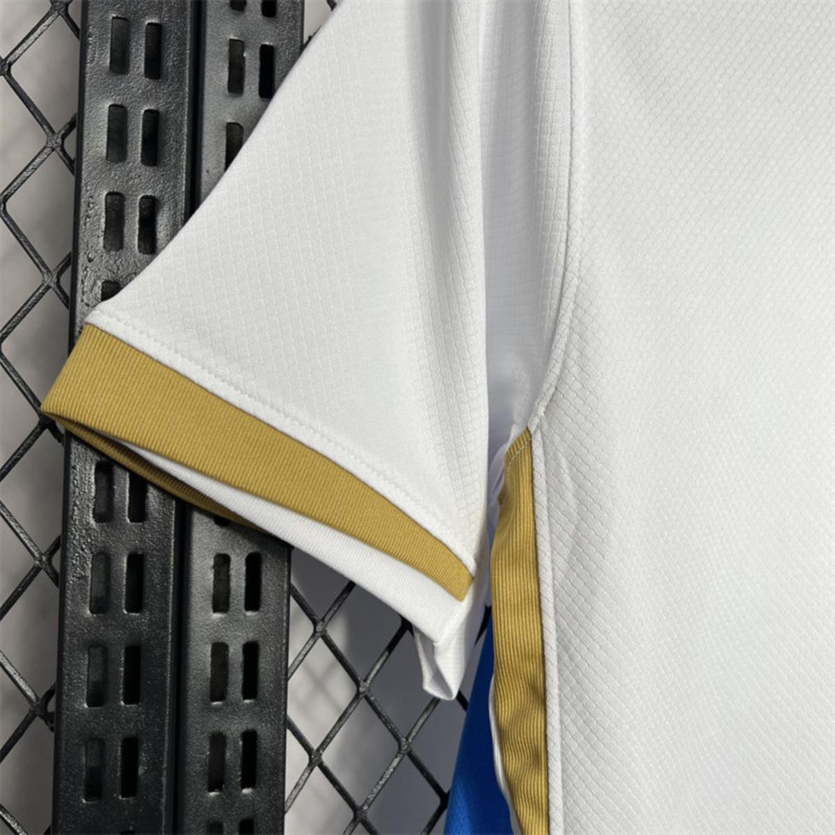2024/25 Uruguay Pre-match training Jersey Fan Version