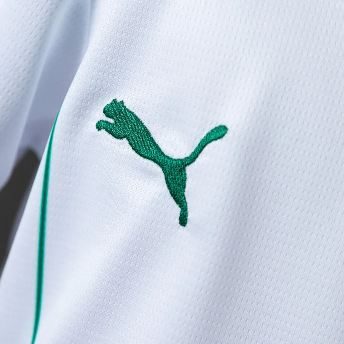 2026/27 Palmeiras  Kid Kits size: 16-28
