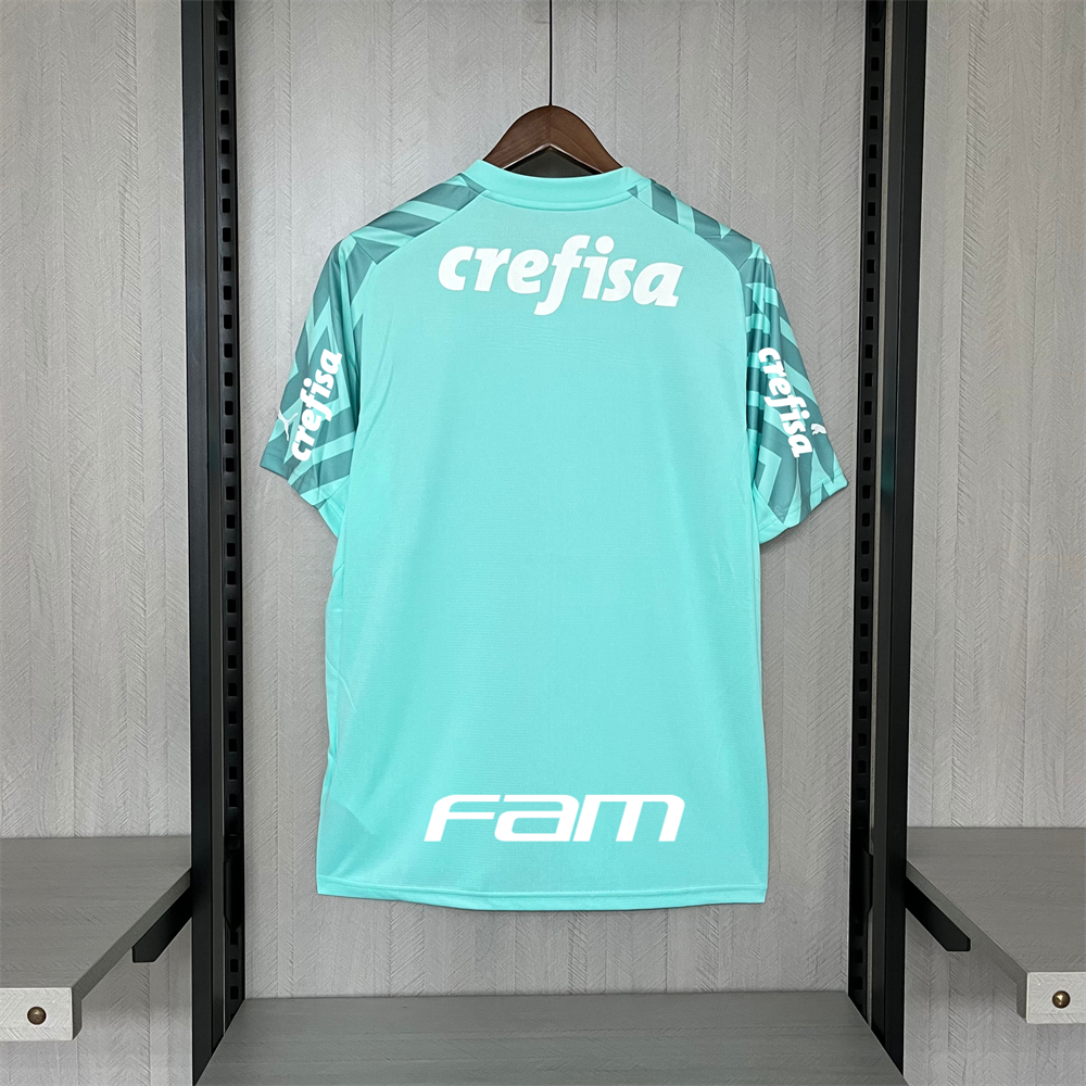2024/25 Palmeiras Goalkeeper Green jersey Fan Version
