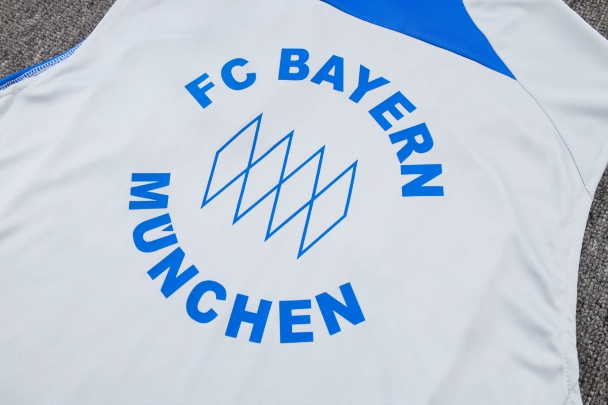 2026 Bayern Munich Grey Training Set Shirt and Shorts
