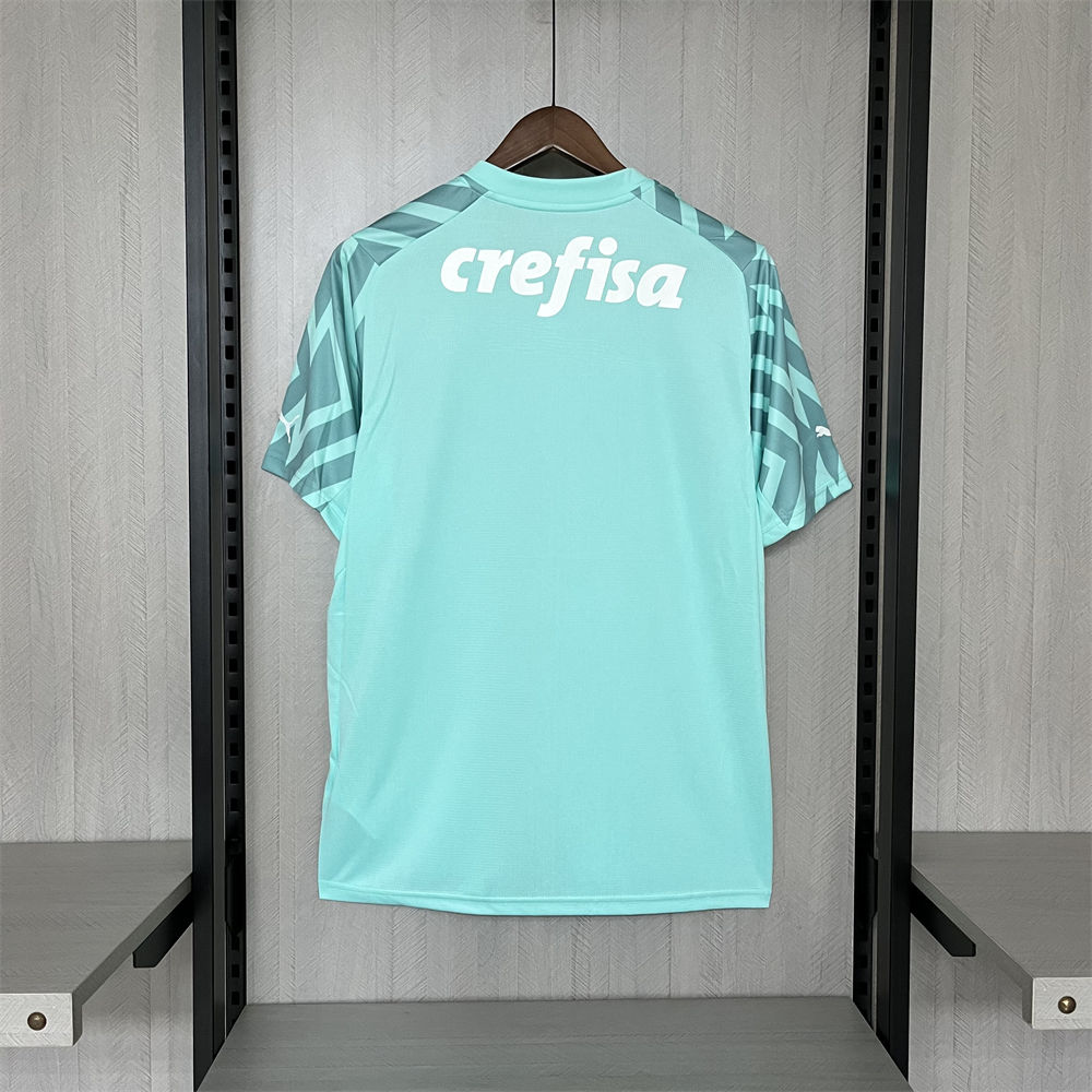 2024/25 Palmeiras Goalkeeper Green jersey Fan Version