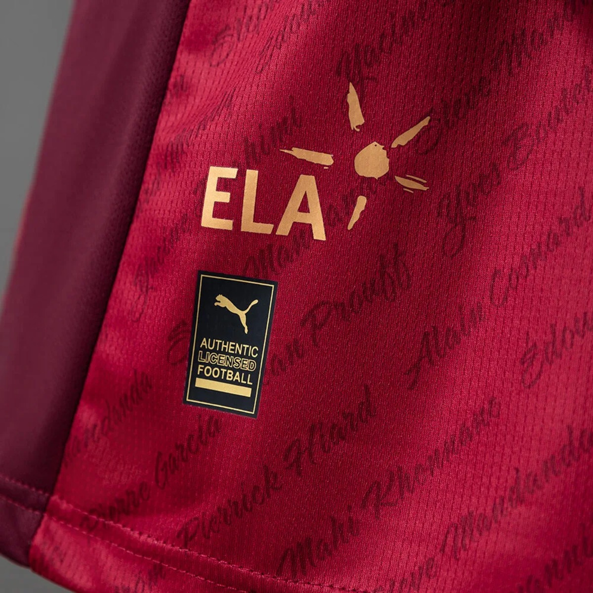 2026 Stade Rennais 125th Anniversary Red Jersey Fan version