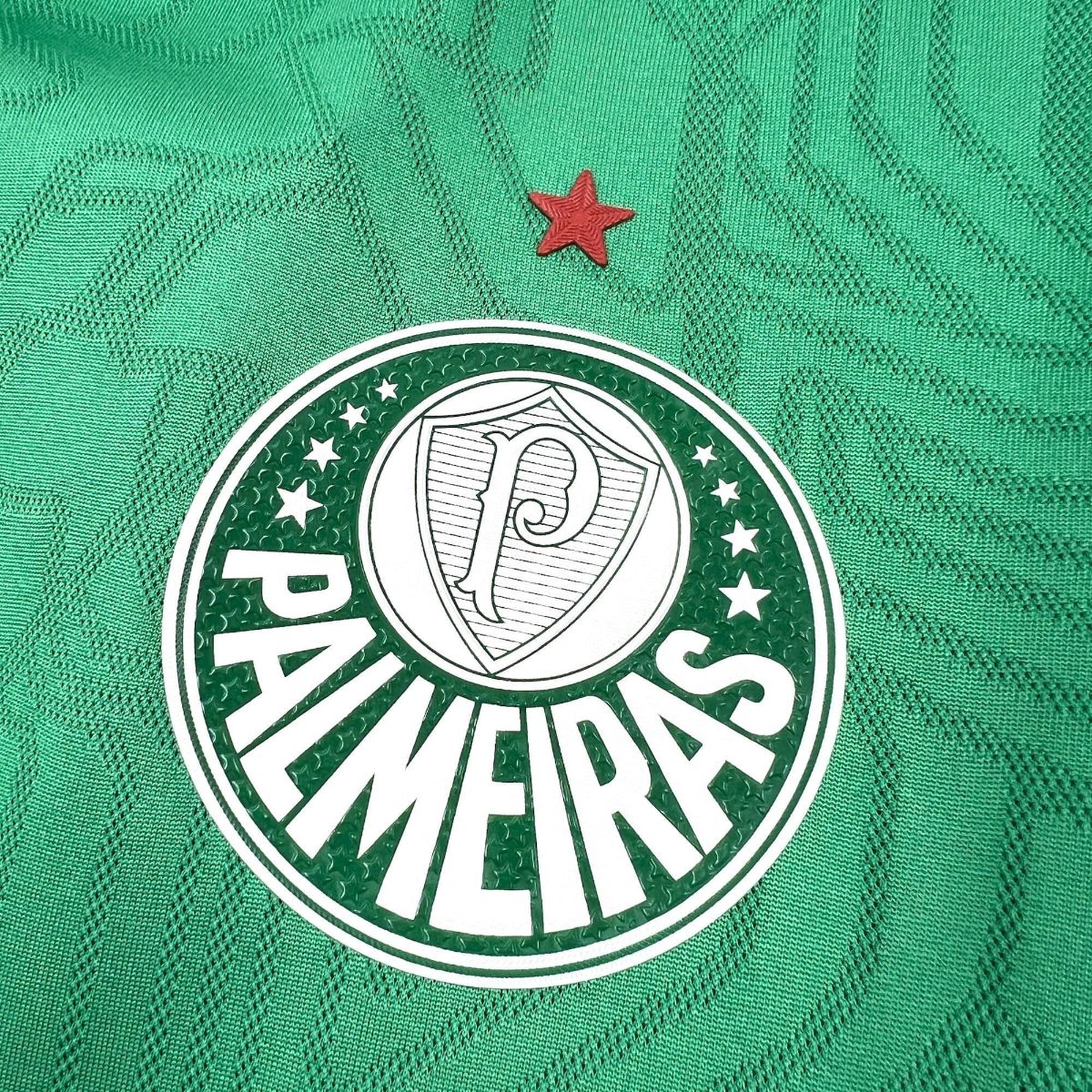 2025/26 Palmeiras Training Green jersey Fan version