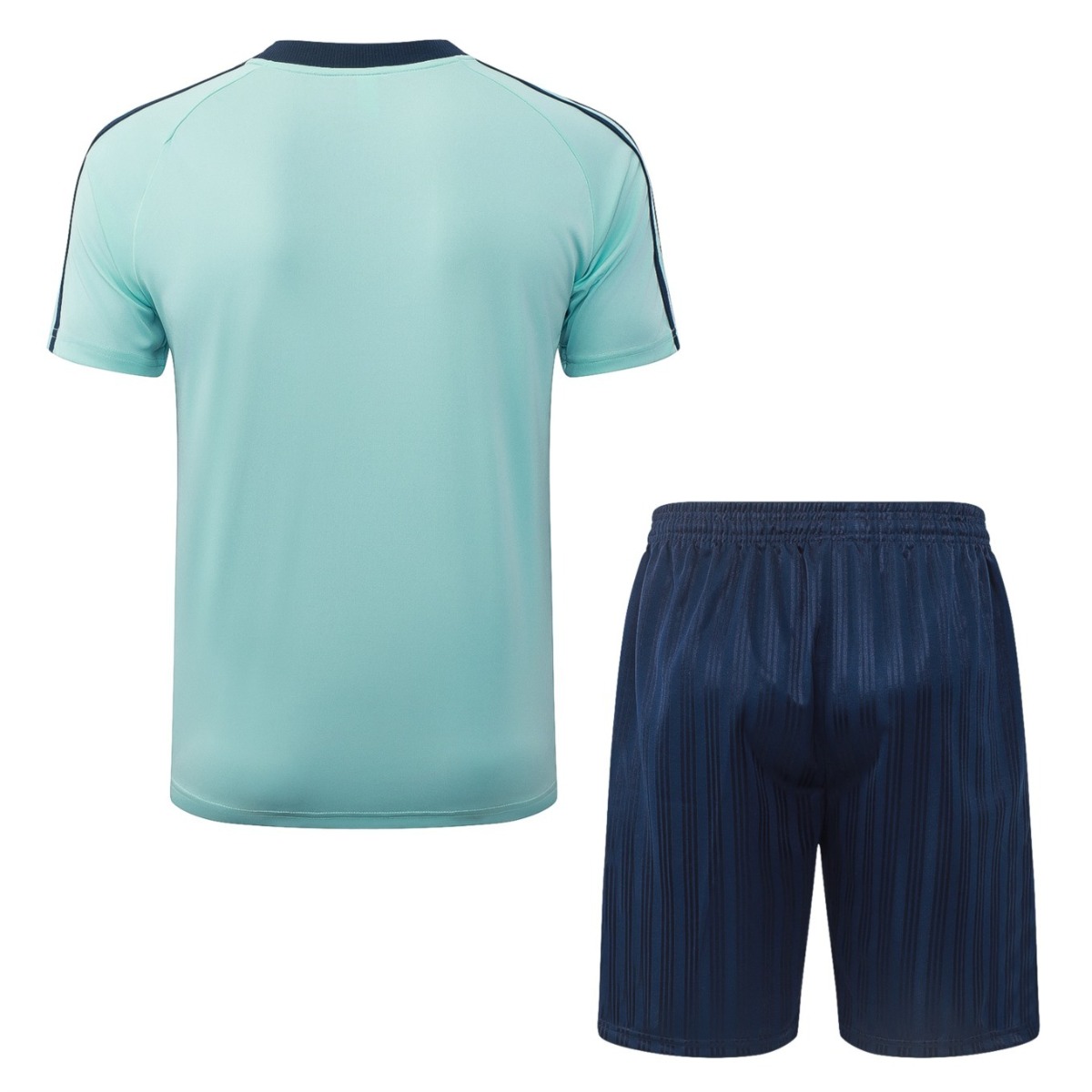 2026 Germany Light green Training Set Shirt and Shorts