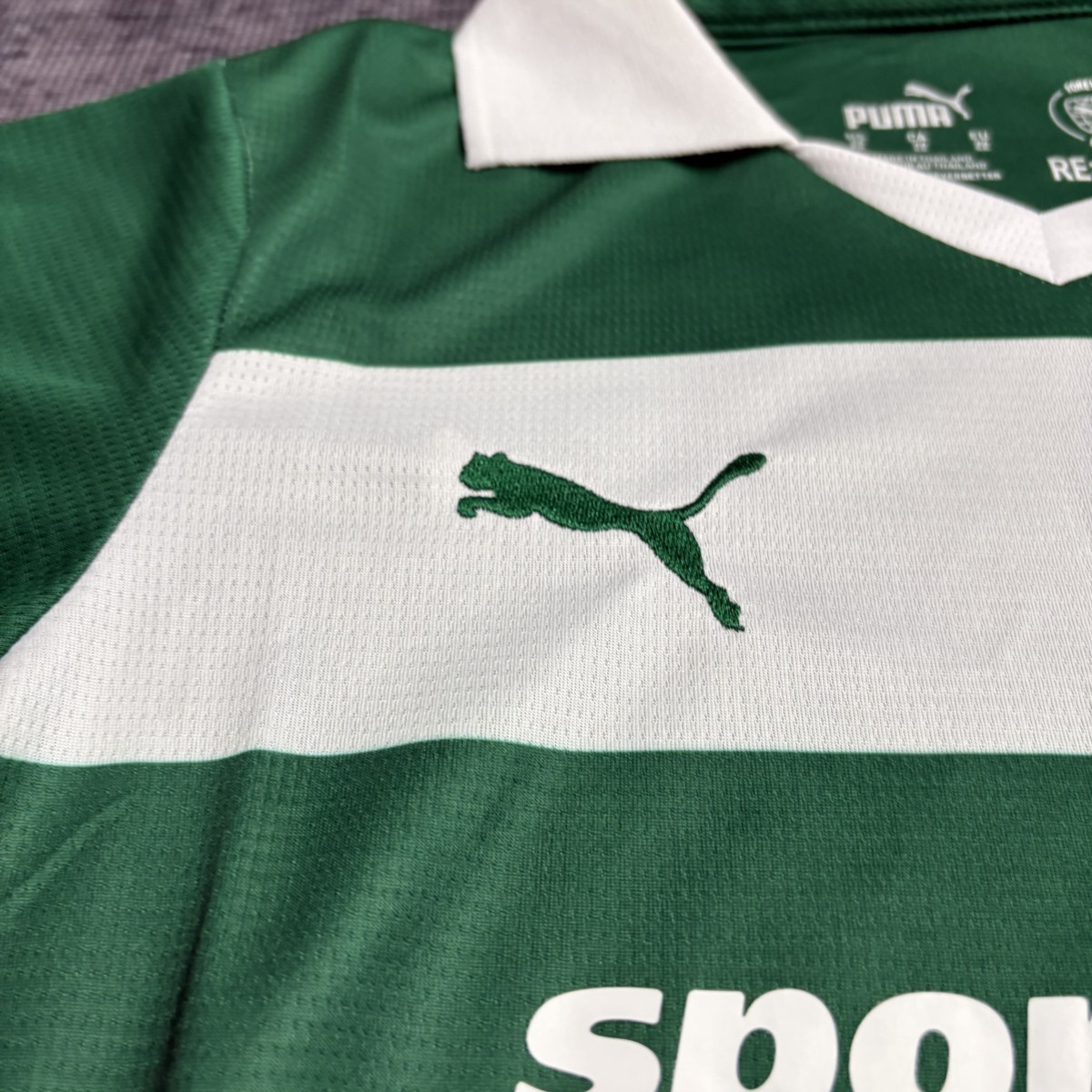 25/26 Palmeiras Special Edition Green jersey Kid Kits size: 16-28