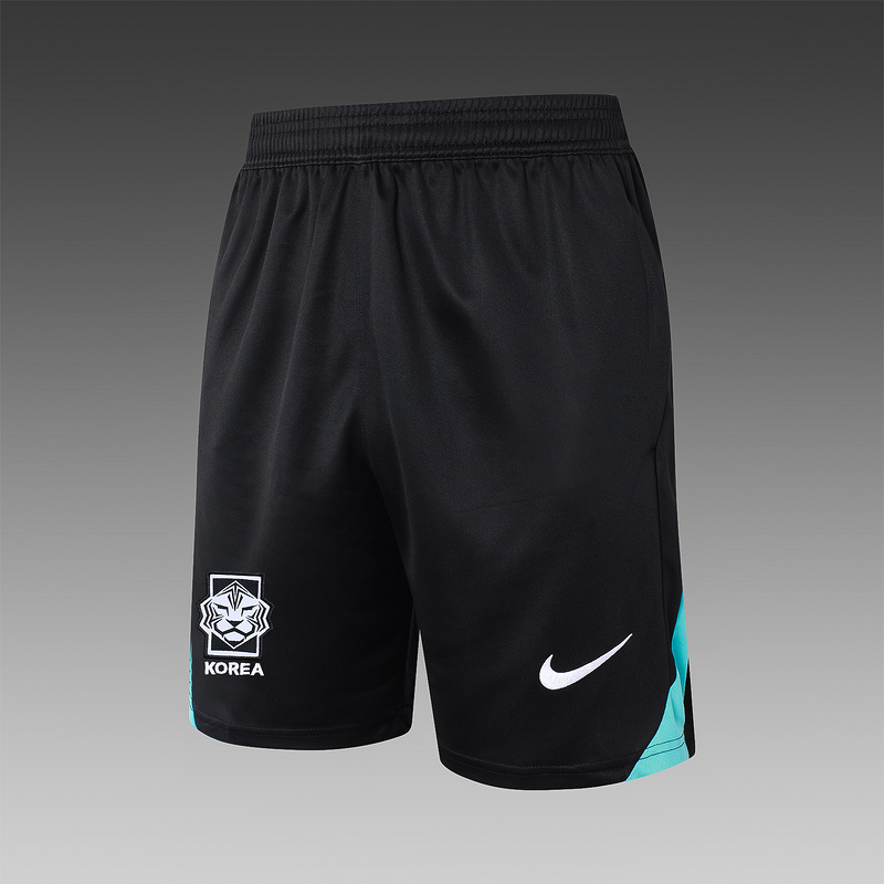 24/25 Korea Turquoise and White Training Set Shirt and Shorts