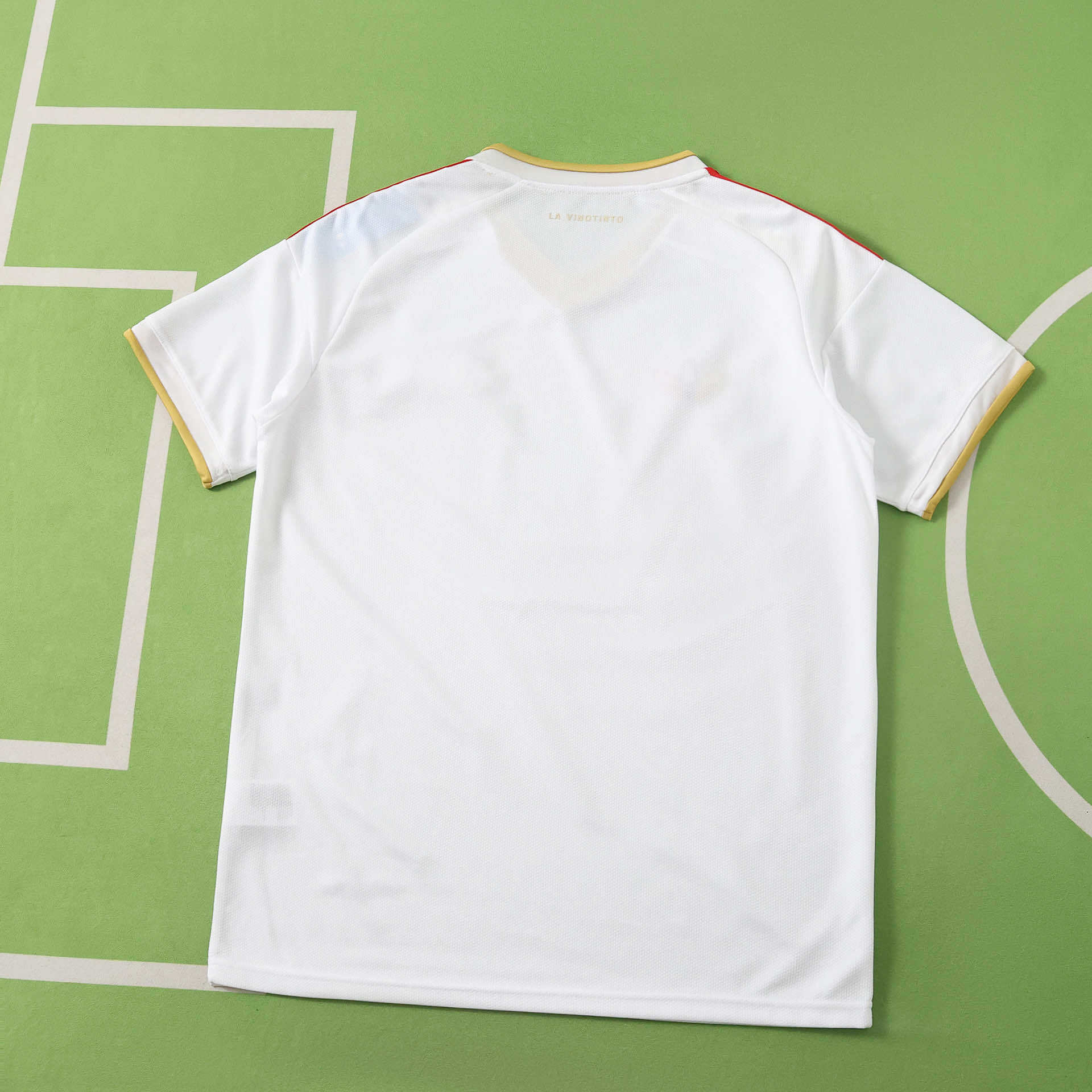 2026/27 Venezuela Special Edition Jersey Fan version