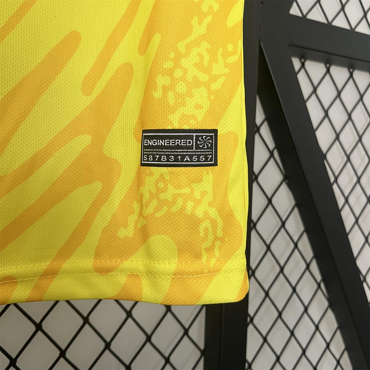 2024/25 France Euro Goalkeeper uniform Jersey Fan Version