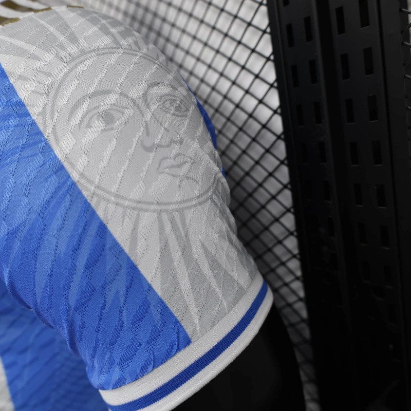 24/25 Argentina Special edition Jersey Player Version