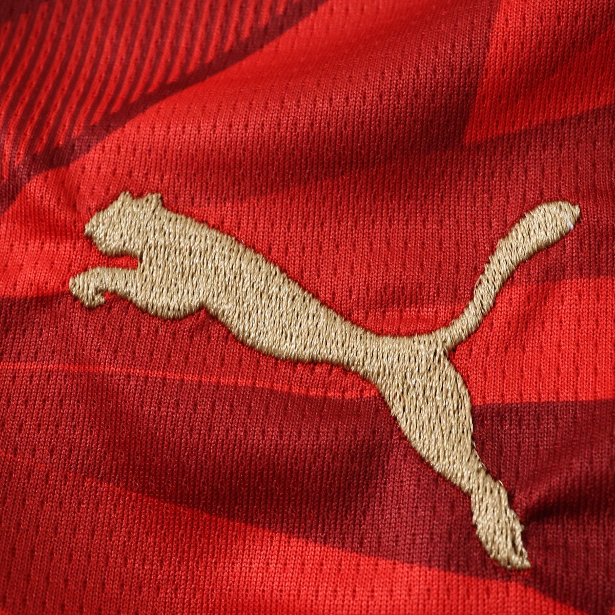Egypt 2026 Wolrd Cup Home Jersey Fan Version