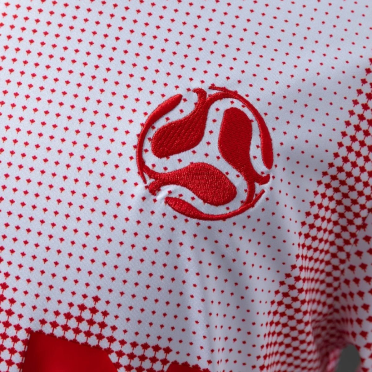 Canada 2026 World Cup Anniversary Edition jersey Fan version