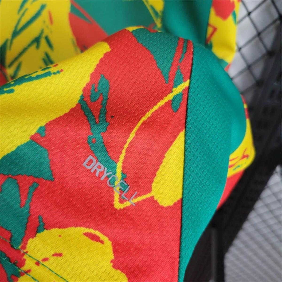2024/25 Senegal Pre-match training shirt Jersey Fan Version