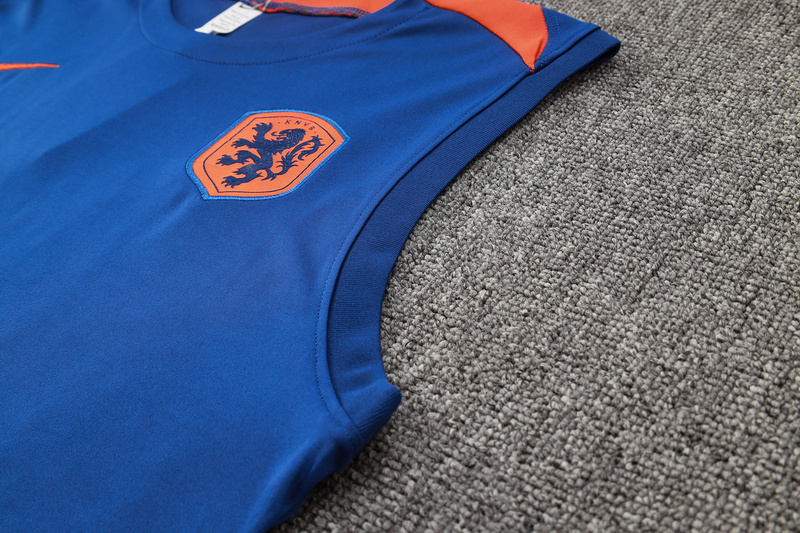 24/25 Netherlands Colorful Blue raining Set Shirt and Shorts