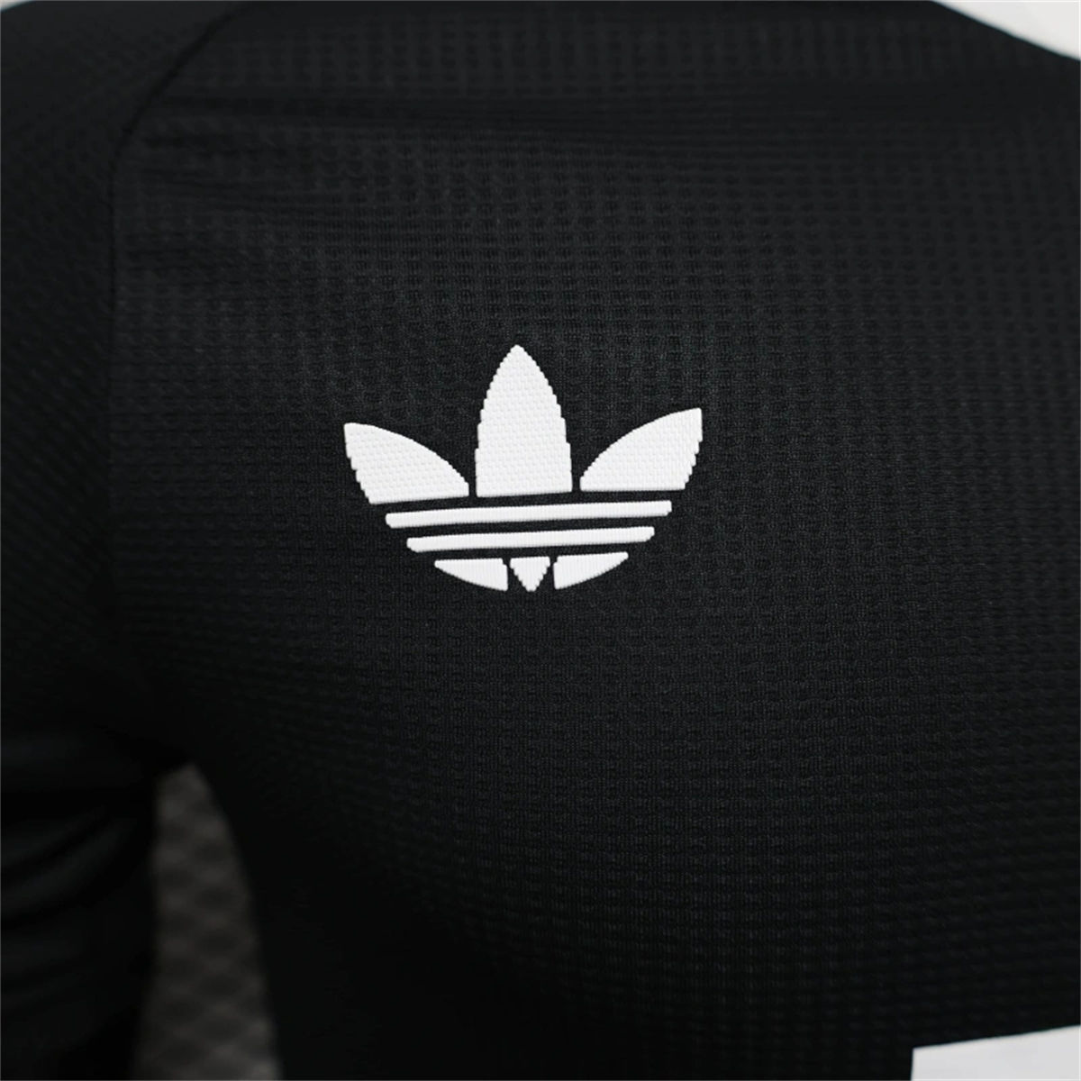 24/25 Bayern Munich Black Special edition Jersey Player Version