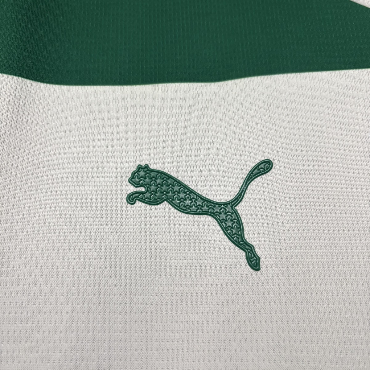 2025/26 Palmeiras Special Edition Green jersey Fan version
