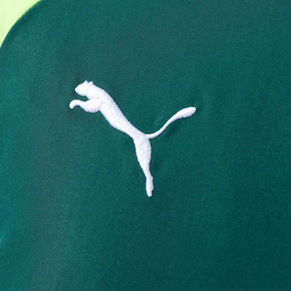 2026 Palmeiras Green Jacket Windbreaker Sport Unifom