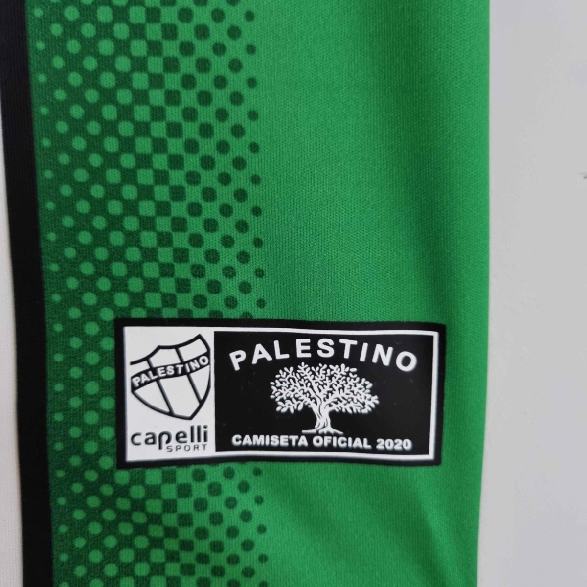 2022/23 CD Palestino second away Jersey Fan Version