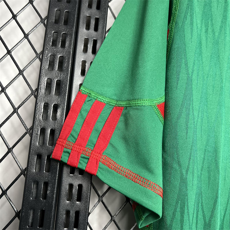 Retro Mexico 2010 Home jersey Fan Version