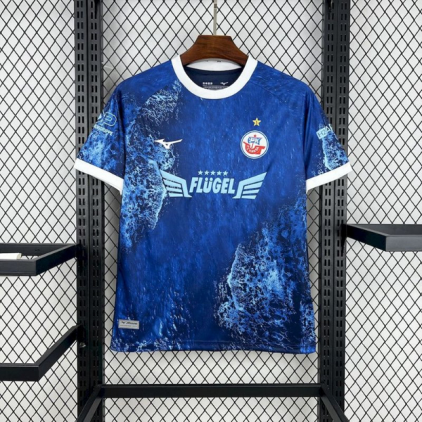 2025/26 FC Hansa Rostock Baltic Sea Special Edition Jersey Fan Version