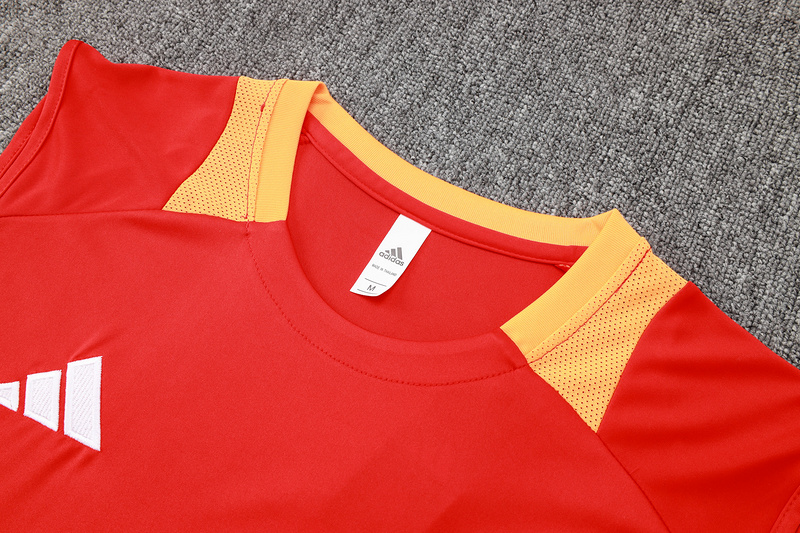 24/25 Bayern Munich Red Training Set Shirt and Shorts
