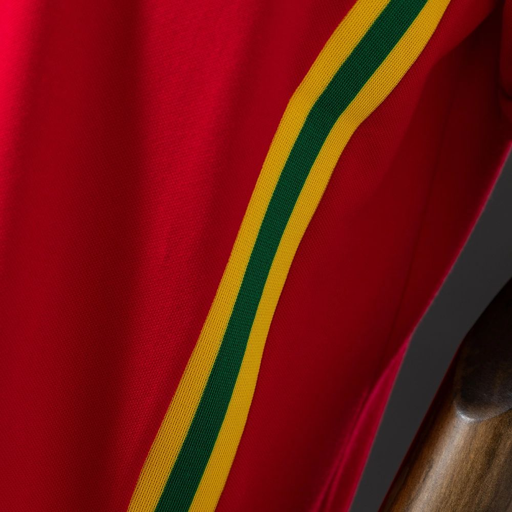 Retro Wales 1976/79 Home jersey Fan Version