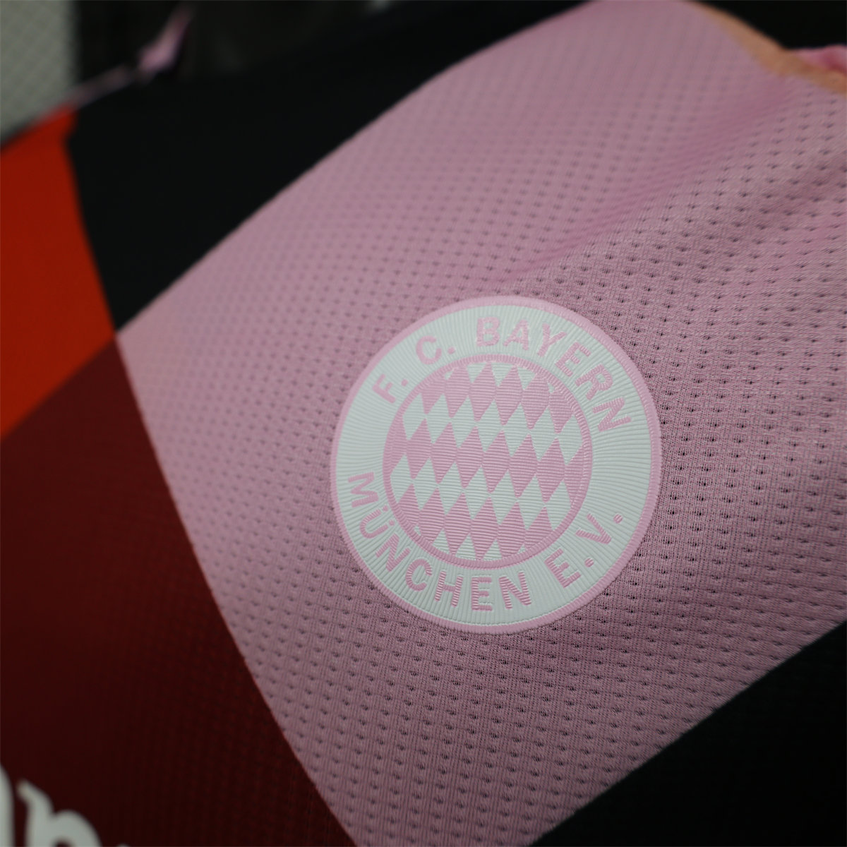 24/25 Bayern Munich Training Special edition Jersey Player Version