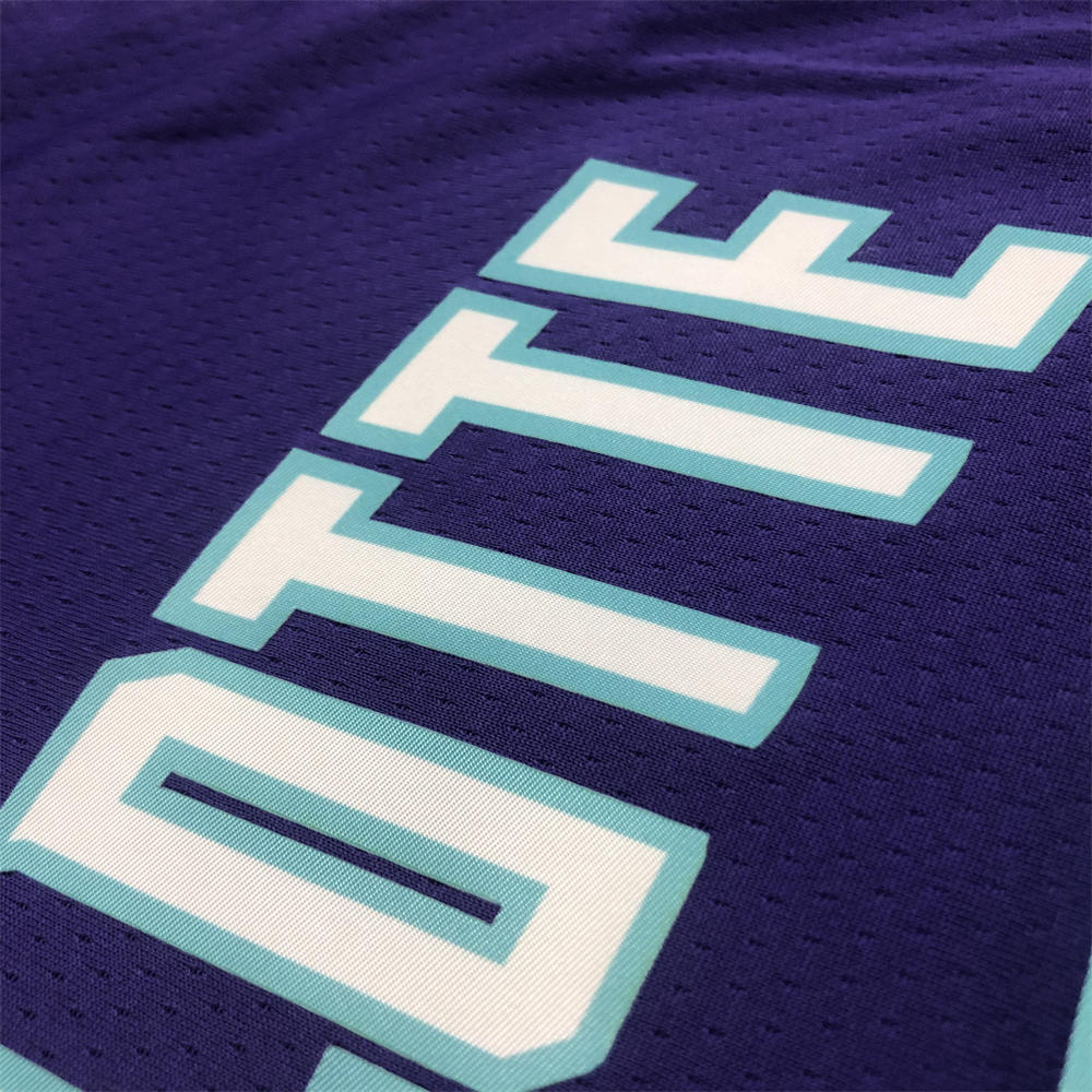 NBA Charlotte Hornets V-Neck Purple Jersey BALL#2 S-XXL