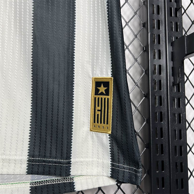 Botafogo 24/25  Home Vest Jersey  Fan Version