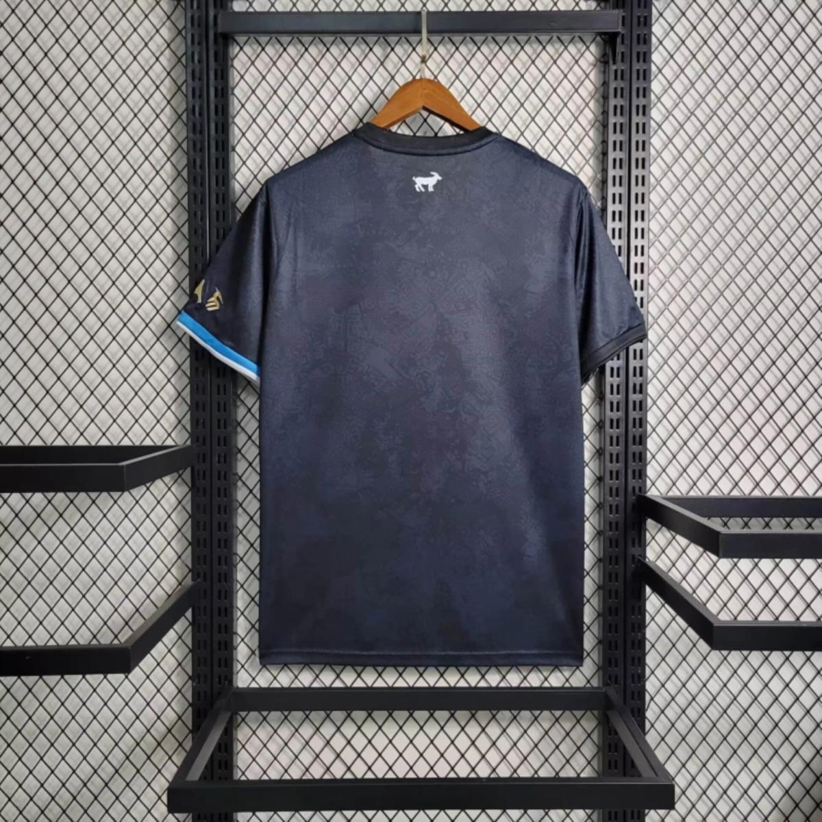 2024/25 Argentina Special edition Jersey Fan Version