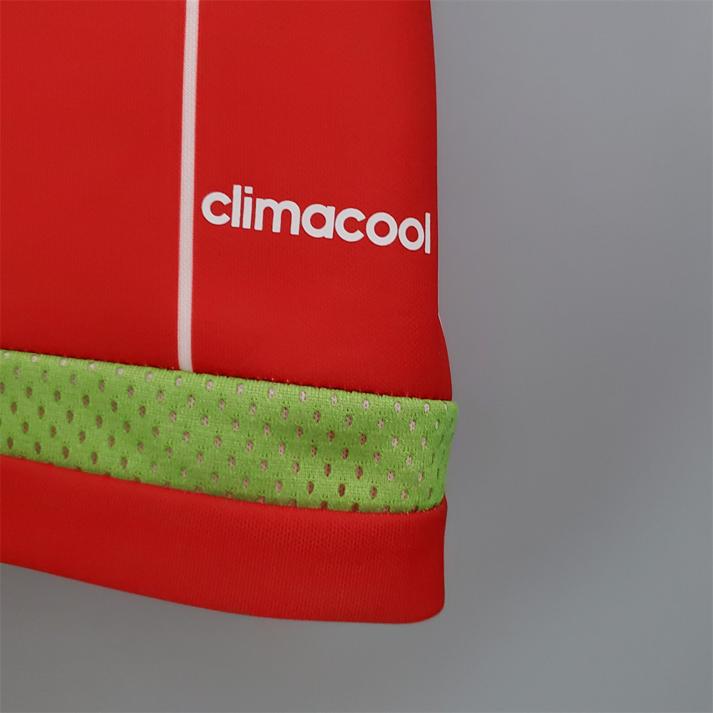 Retro Wales 15/16 Home jersey Fan Version
