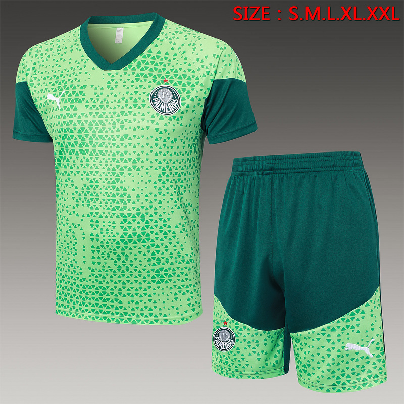 24/25 Palmeiras Green Training Set Shirt and Shorts