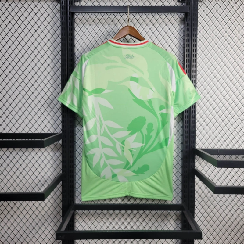25/26 Italy special edition Jersey Fan Version