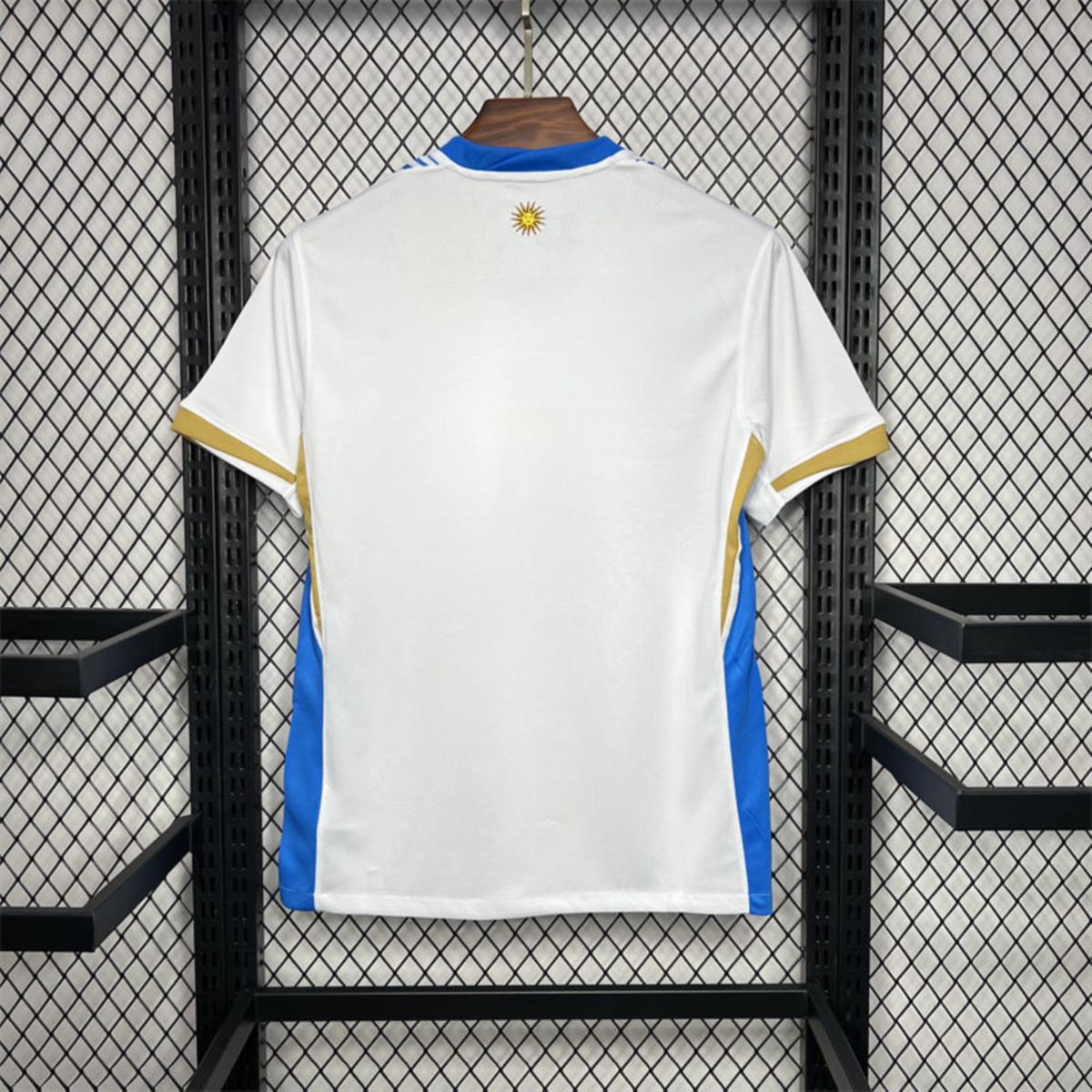 2024/25 Uruguay Pre-match training Jersey Fan Version