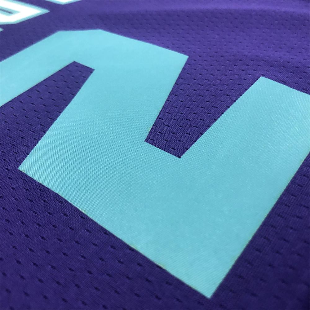 NBA Charlotte Hornets V-Neck Purple Jersey BALL#2 S-XXL