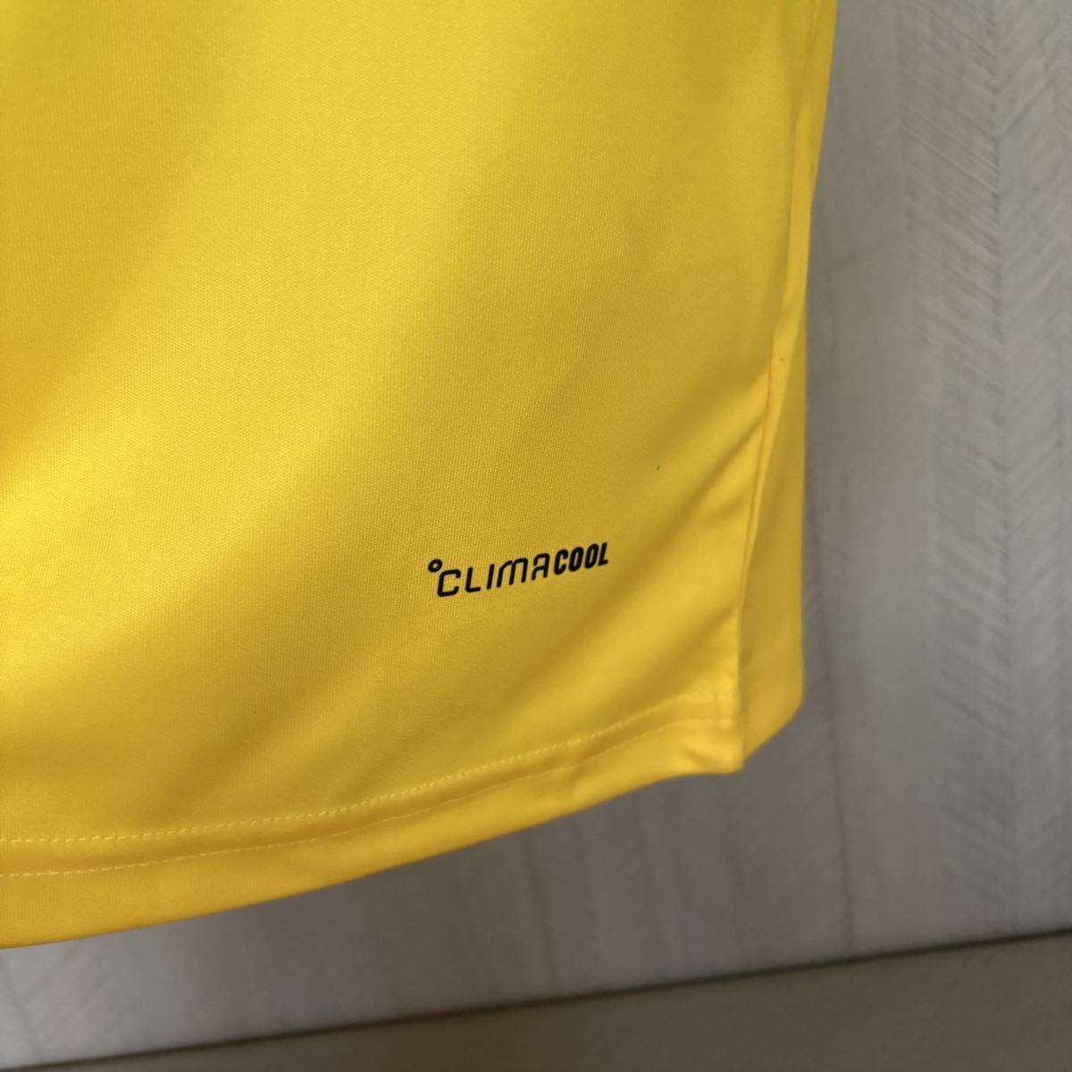 2026 Jamaica Training Colorful Jersey Fan version
