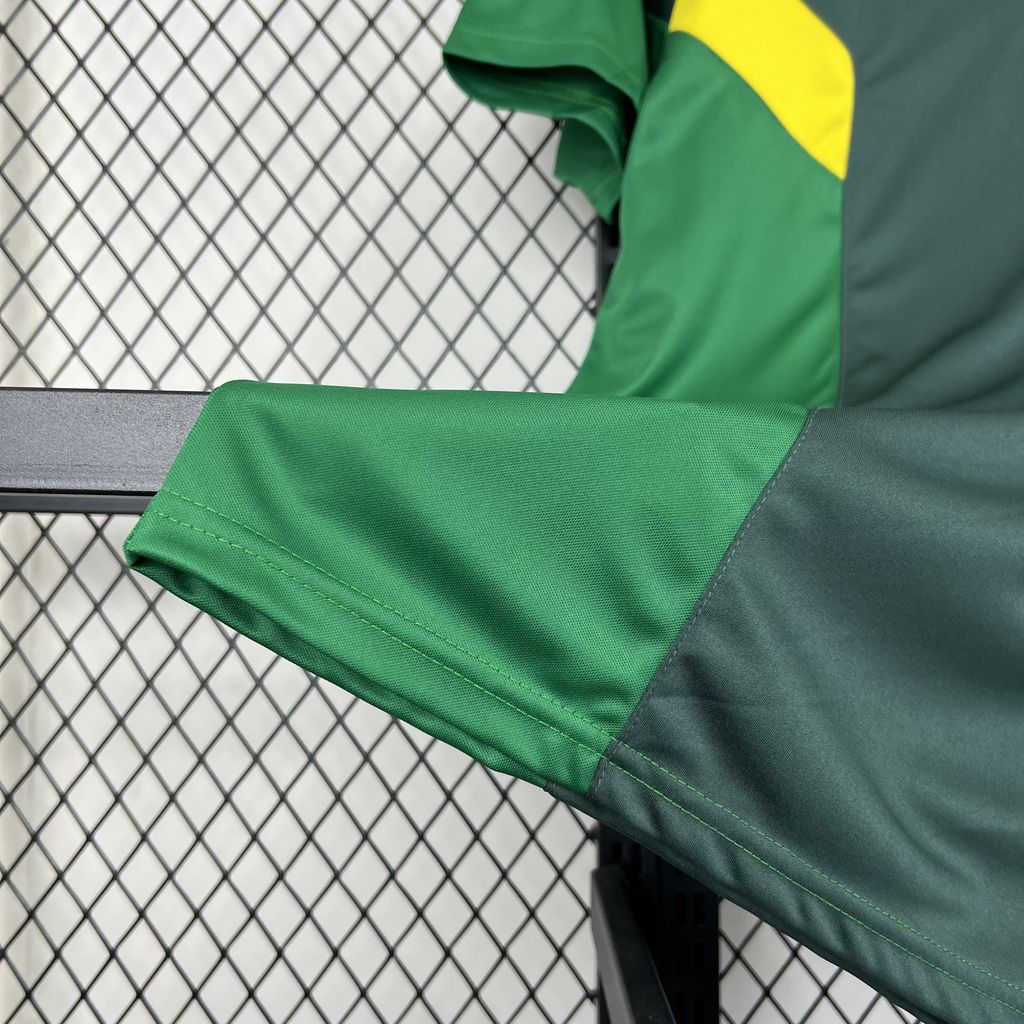 24/25 Celtic Special Edition Jersey Fan Version