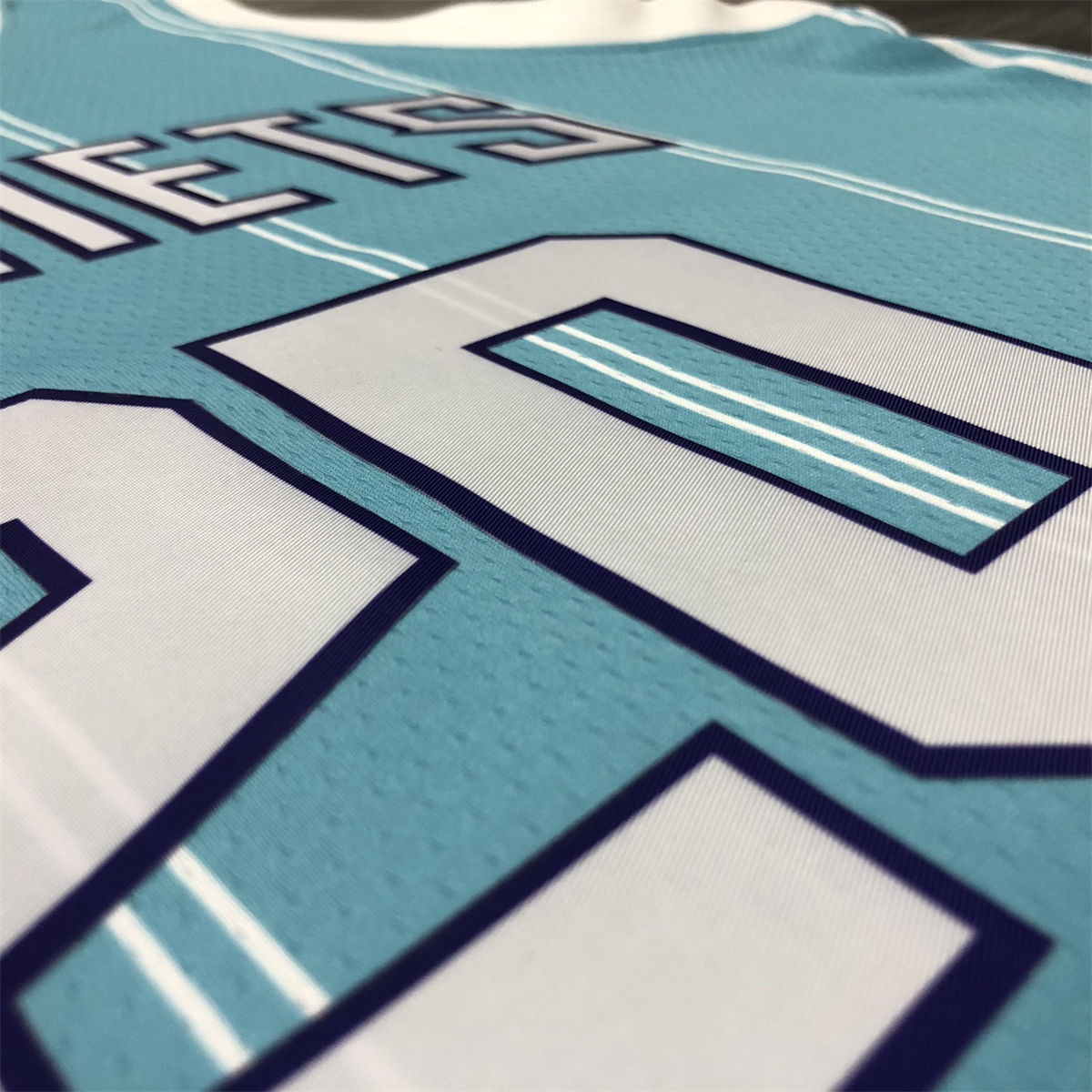 NBA Charlotte Hornets V-Neck Light Blue Jersey HAYWARD#20 S-XXL