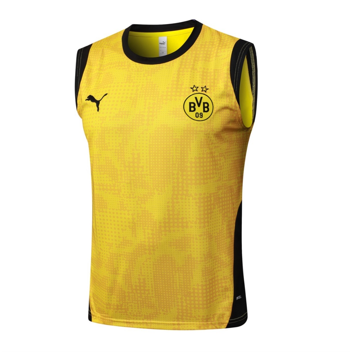 2026 Dortmund Yellow Training Set Shirt and Shorts