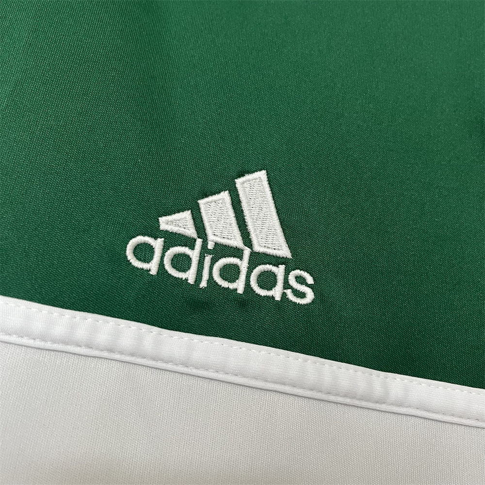 Retro 2014 Palmeiras Centennial Edition Green jersey Fan Version