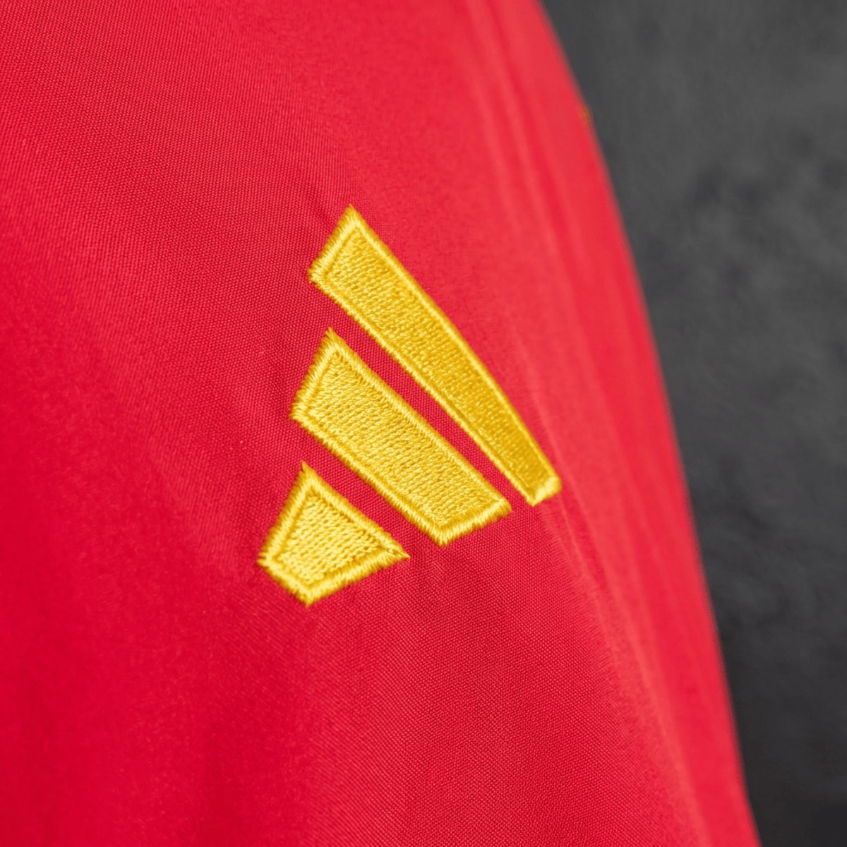 2026 Spain Red and Blue Reversible Windbreaker Sport Unifom