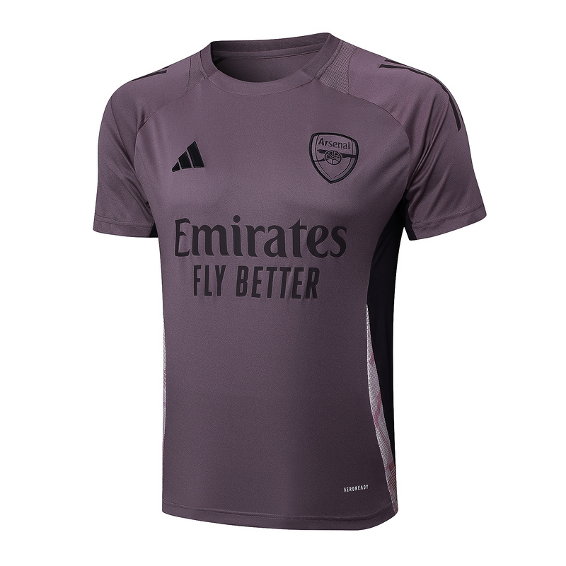24/25 Arsenal Grey purple Training Set Shirt and Shorts