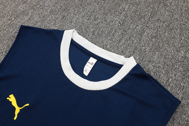 2025/26 Portugal Royal blue Training Set Shirt and Shorts