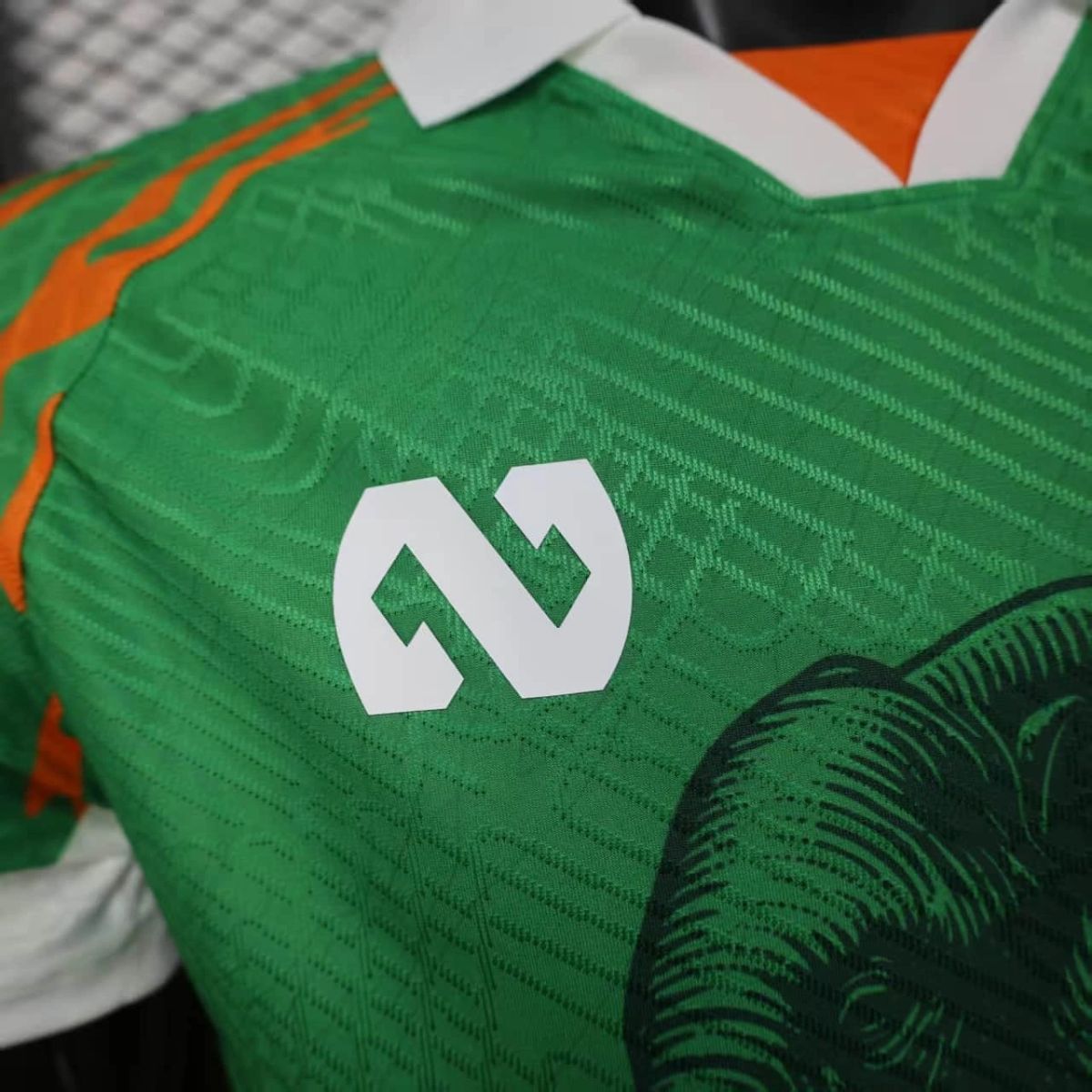 2025/26 Ivory Coast Special edition Green Jersey Player Version