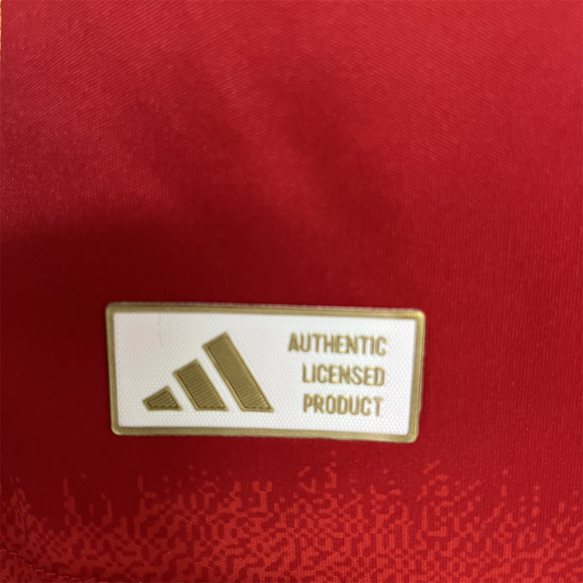 24/25 Spain Euro Home Jersey Long Sleeve Player Version