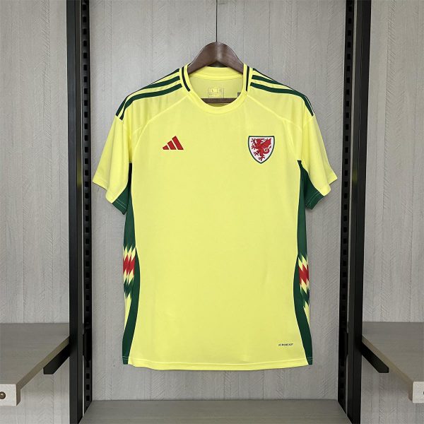 2024/25 Wales Away Jersey Fan Version