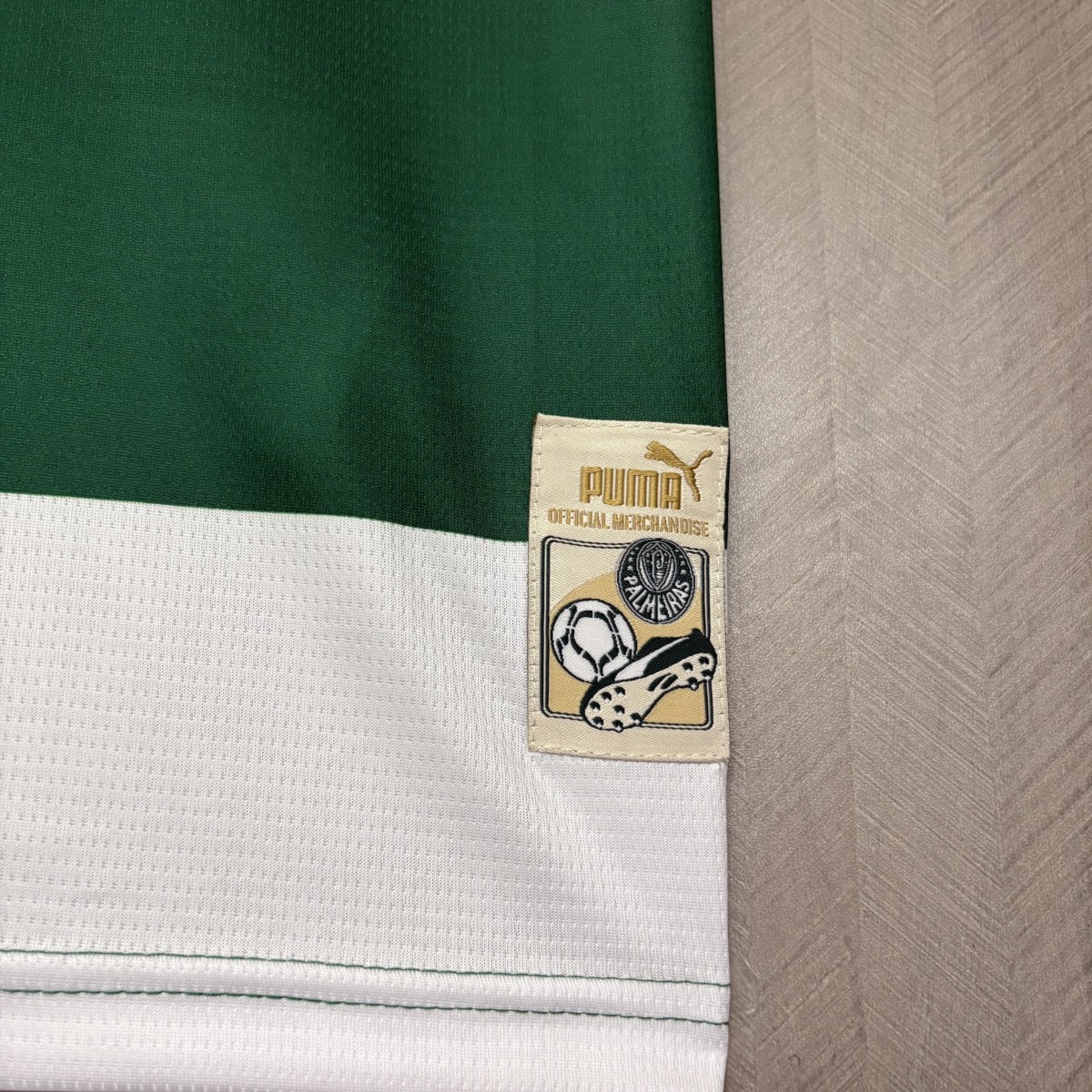 2025/26 Palmeiras Special Edition Green jersey Fan version