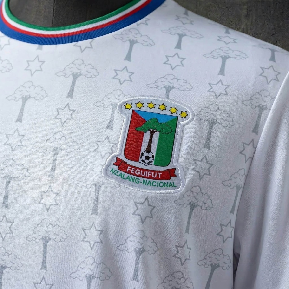 2026 Equatorial Guinea Away Jersey Fan Version