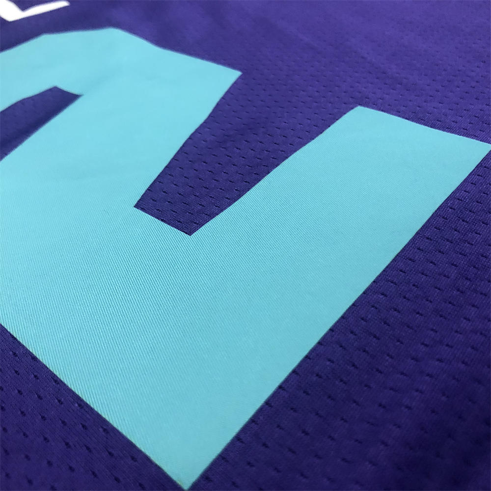 NBA Charlotte Hornets V-Neck Purple Jersey BALL#2 S-XXL