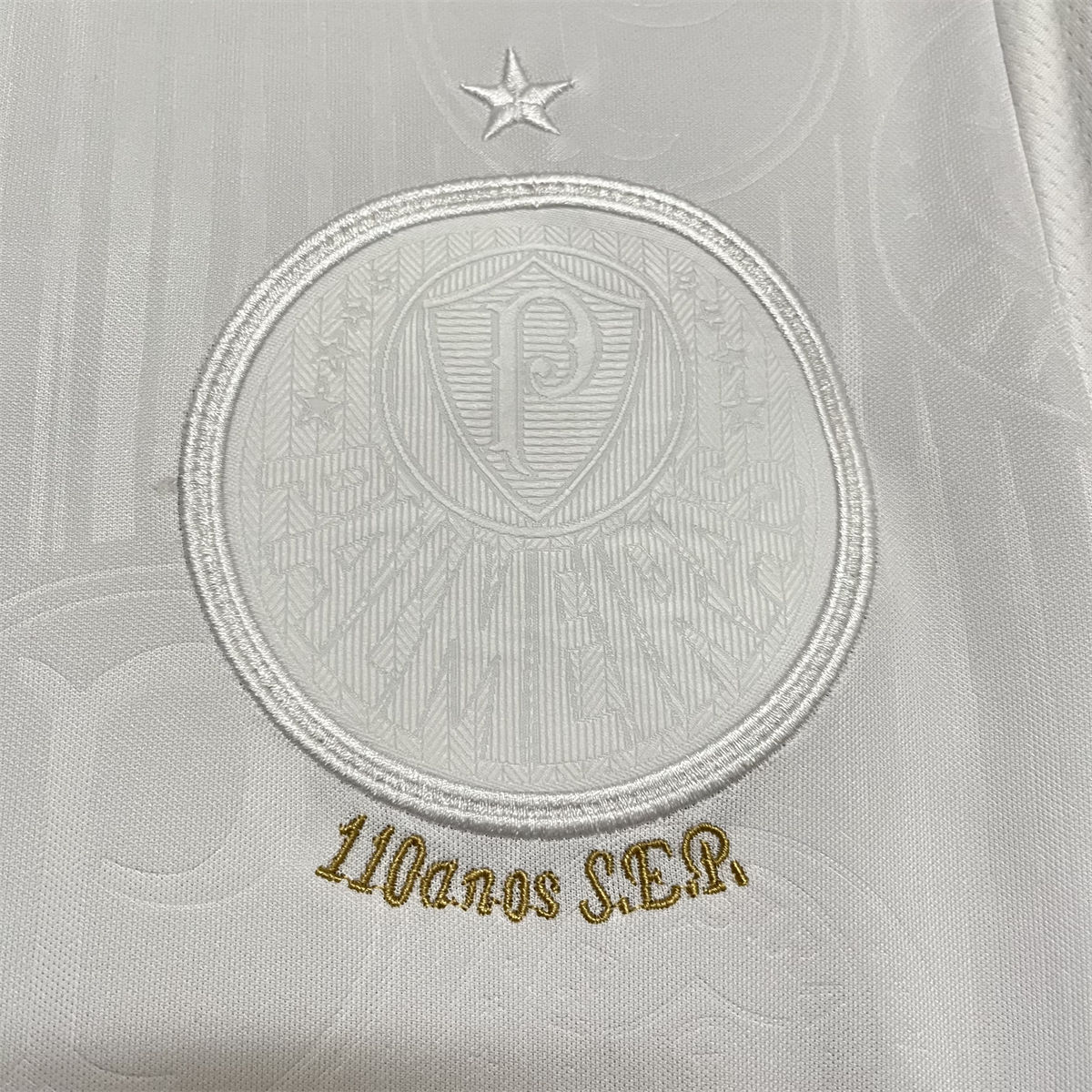 2024/25 Palmeiras Special Edition White jersey Fan Version
